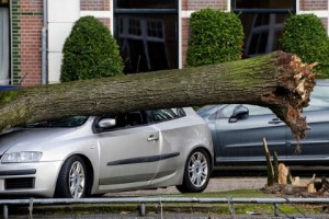 stormschade-autoverzekering